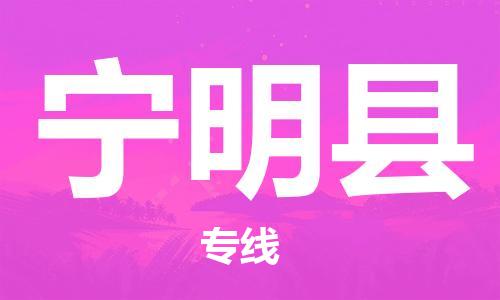 邯鄲到寧明縣物流專(zhuān)線(xiàn)-寧明縣到邯鄲貨運公司-安全可靠