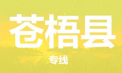 邯鄲到蒼梧縣物流專(zhuān)線(xiàn)-蒼梧縣到邯鄲貨運公司-安全可靠