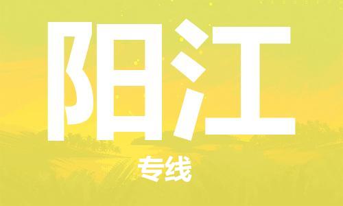 秦皇島到陽(yáng)江物流專(zhuān)線(xiàn)-秦皇島至陽(yáng)江貨運快捷高效的值得信賴(lài)